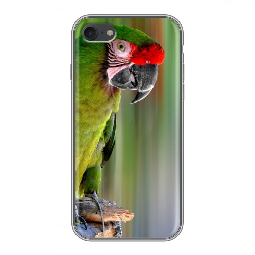 Дизайнерский силиконовый с усиленными углами чехол для Iphone 7 Попугаи