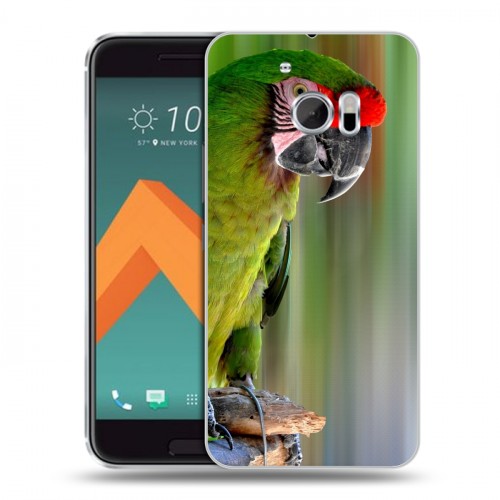 Дизайнерский пластиковый чехол для HTC 10 Попугаи