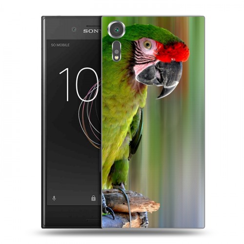 Дизайнерский пластиковый чехол для Sony Xperia XZs Попугаи