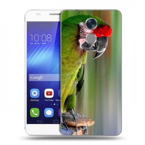 Дизайнерский пластиковый чехол для Huawei Honor 6C Попугаи