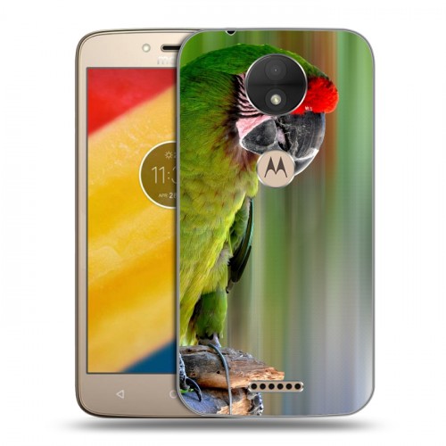 Дизайнерский пластиковый чехол для Motorola Moto C Попугаи