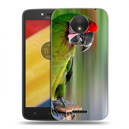 Дизайнерский пластиковый чехол для Motorola Moto C Plus Попугаи