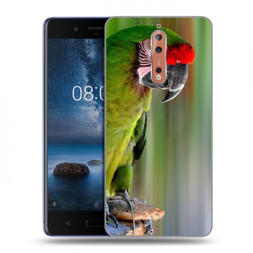 Дизайнерский пластиковый чехол для Nokia 8 Попугаи