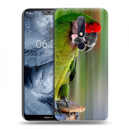 Дизайнерский пластиковый чехол для Nokia 6.1 Plus Попугаи