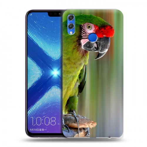 Дизайнерский силиконовый чехол для Huawei Honor 8X Попугаи