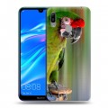 Дизайнерский пластиковый чехол для Huawei Y6 (2019) Попугаи