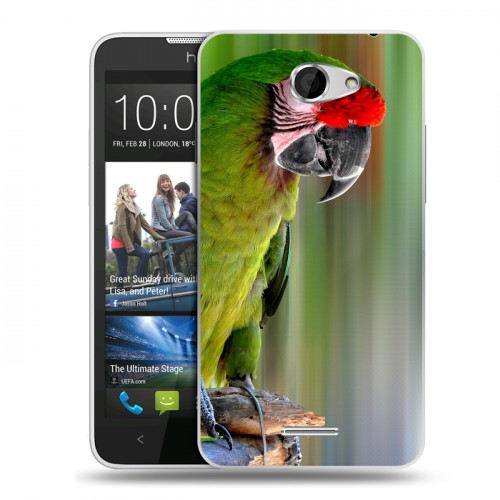 Дизайнерский пластиковый чехол для HTC Desire 516 Попугаи