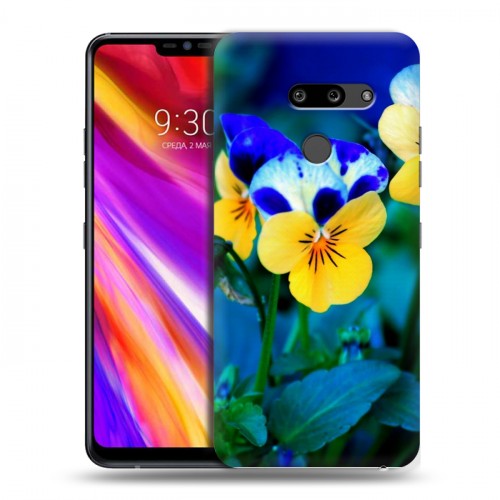 Дизайнерский пластиковый чехол для LG G8 ThinQ Анютины глазки