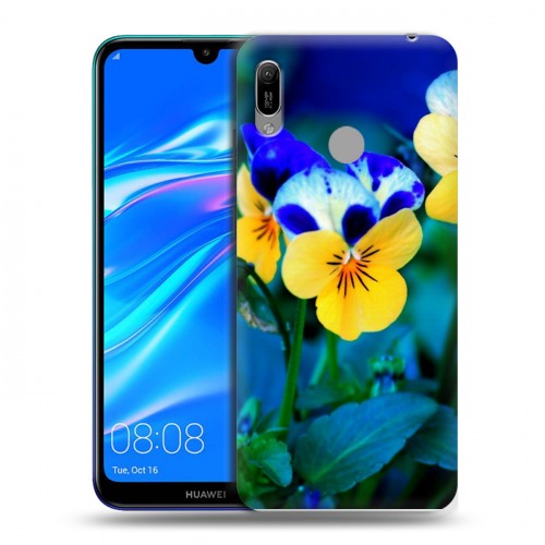 Дизайнерский пластиковый чехол для Huawei Y6 (2019) Анютины глазки