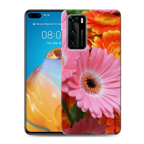 Дизайнерский пластиковый чехол для Huawei P40 Герберы