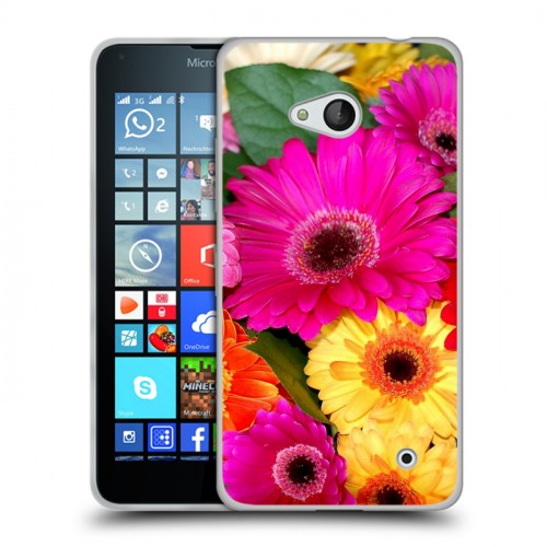 Дизайнерский пластиковый чехол для Microsoft Lumia 640 Герберы