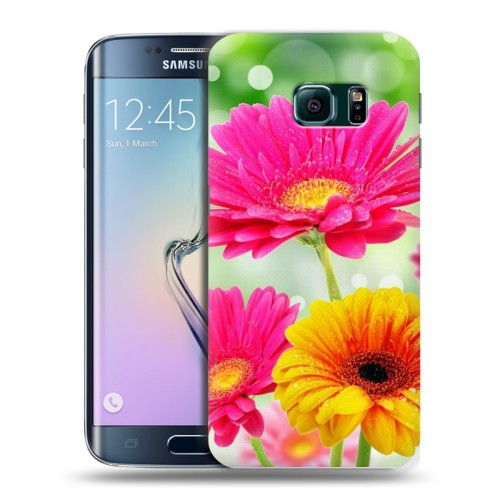 Дизайнерский пластиковый чехол для Samsung Galaxy S6 Edge Герберы