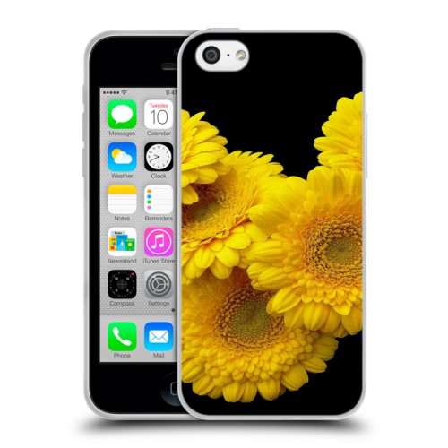 Дизайнерский пластиковый чехол для Iphone 5c Герберы