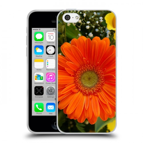 Дизайнерский пластиковый чехол для Iphone 5c Герберы