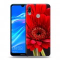 Дизайнерский пластиковый чехол для Huawei Y6 (2019) Герберы