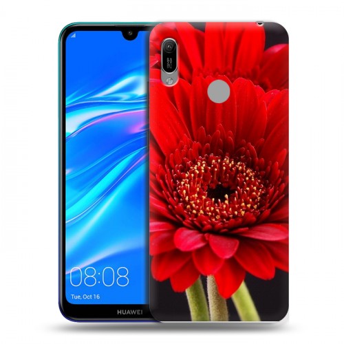 Дизайнерский пластиковый чехол для Huawei Y6 (2019) Герберы