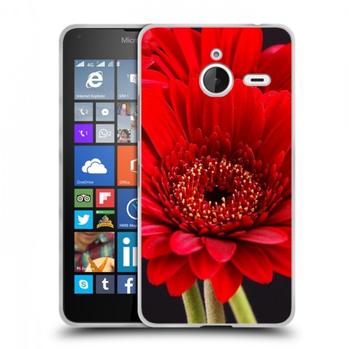 Дизайнерский пластиковый чехол для Microsoft Lumia 640 XL Герберы