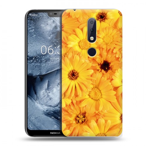 Дизайнерский пластиковый чехол для Nokia 6.1 Plus Герберы