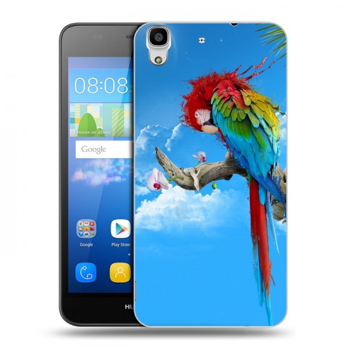 Дизайнерский пластиковый чехол для Huawei Y6 Попугаи