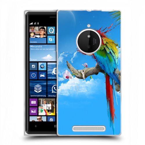Дизайнерский пластиковый чехол для Nokia Lumia 830 Попугаи