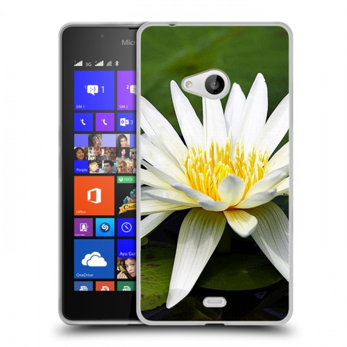 Дизайнерский пластиковый чехол для Microsoft Lumia 540 Кувшинки