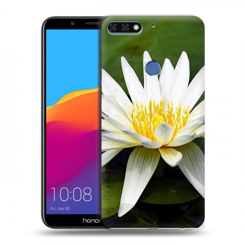 Дизайнерский пластиковый чехол для Huawei Honor 7C Pro Кувшинки