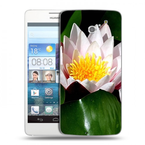 Дизайнерский пластиковый чехол для Huawei Ascend D2 Кувшинки