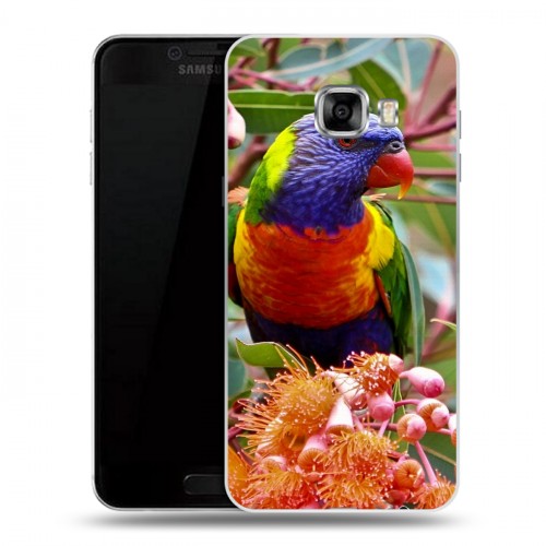 Дизайнерский пластиковый чехол для Samsung Galaxy C5 Попугаи