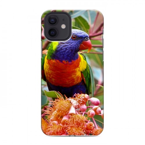 Дизайнерский силиконовый чехол для Iphone 12 Попугаи