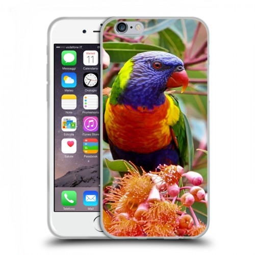 Дизайнерский пластиковый чехол для Iphone 6/6s Попугаи