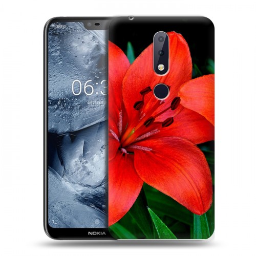 Дизайнерский пластиковый чехол для Nokia 6.1 Plus Лилии