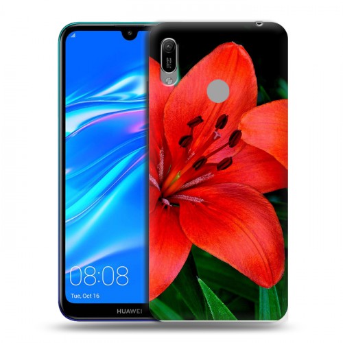 Дизайнерский пластиковый чехол для Huawei Y6 (2019) Лилии