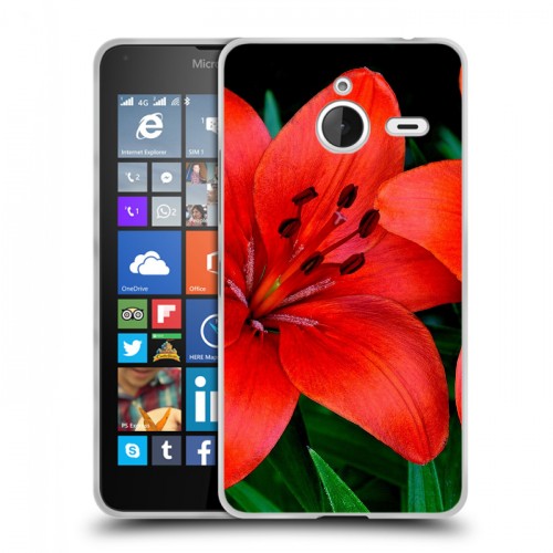 Дизайнерский пластиковый чехол для Microsoft Lumia 640 XL Лилии