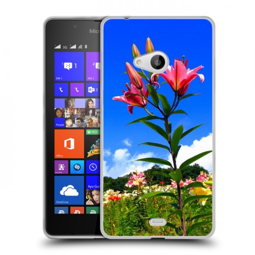 Дизайнерский пластиковый чехол для Microsoft Lumia 540 Лилии