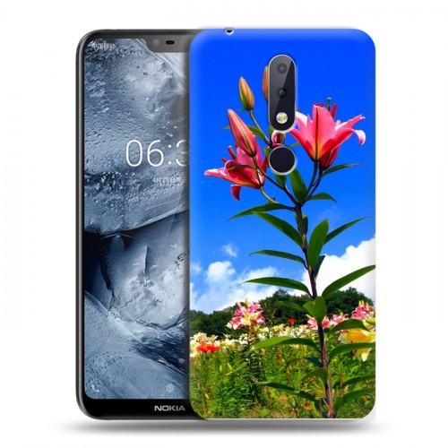 Дизайнерский пластиковый чехол для Nokia 6.1 Plus Лилии