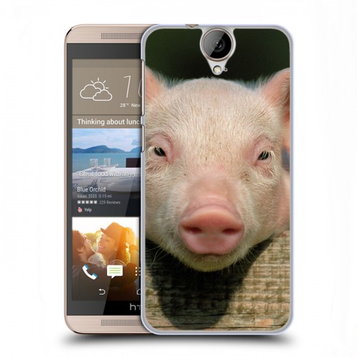 Дизайнерский пластиковый чехол для HTC One E9+ Свинки