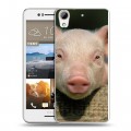 Дизайнерский пластиковый чехол для HTC Desire 728 Свинки