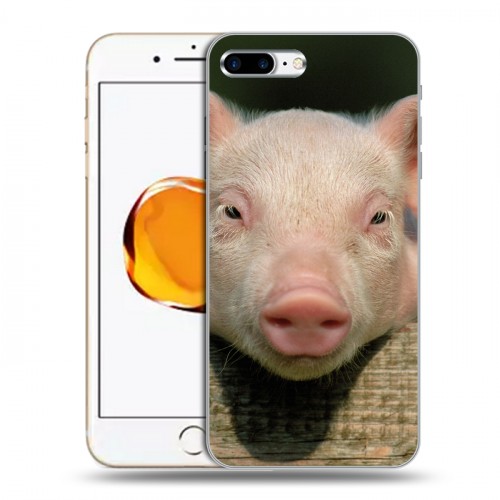 Дизайнерский силиконовый чехол для Iphone 7 Plus / 8 Plus Свинки