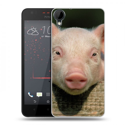Дизайнерский пластиковый чехол для HTC Desire 825 Свинки