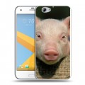 Дизайнерский пластиковый чехол для HTC One A9S Свинки