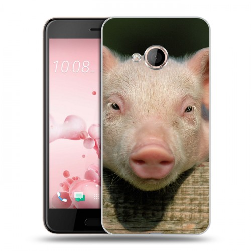 Дизайнерский силиконовый чехол для HTC U Play Свинки