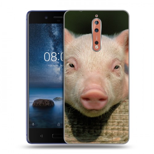 Дизайнерский пластиковый чехол для Nokia 8 Свинки