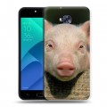 Дизайнерский пластиковый чехол для ASUS ZenFone 4 Selfie Свинки