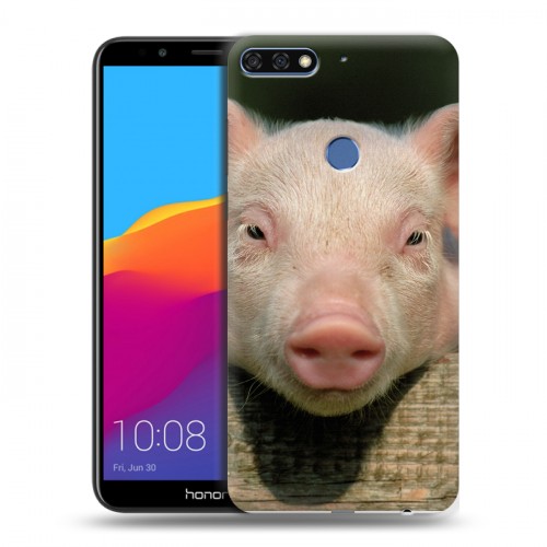 Дизайнерский пластиковый чехол для Huawei Honor 7C Pro Свинки