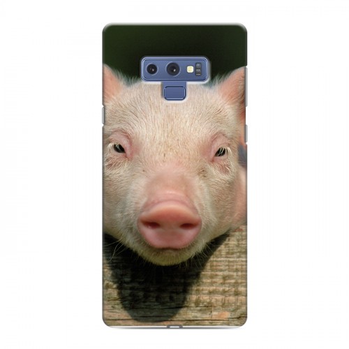 Дизайнерский силиконовый чехол для Samsung Galaxy Note 9 Свинки