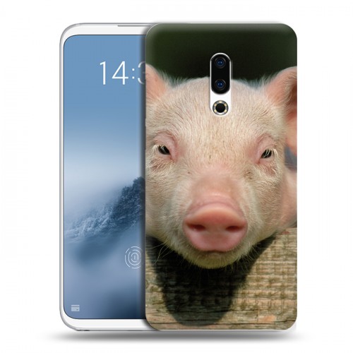 Дизайнерский силиконовый чехол для Meizu 16th Plus Свинки