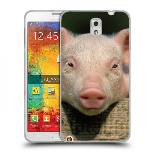 Дизайнерский пластиковый чехол для Samsung Galaxy Note 3 Свинки