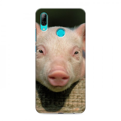 Дизайнерский пластиковый чехол для Huawei P Smart (2019) Свинки