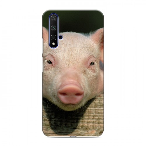 Дизайнерский пластиковый чехол для Huawei Honor 20 Свинки