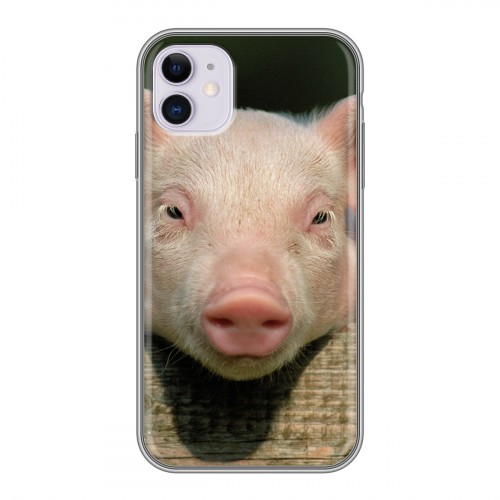 Дизайнерский силиконовый чехол для Iphone 11 Свинки